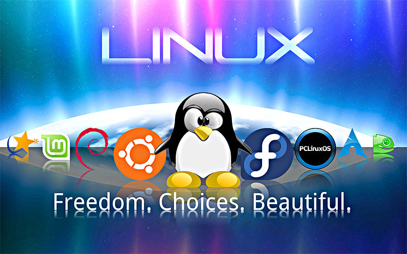 Linux内核与GNU/Linux发行版